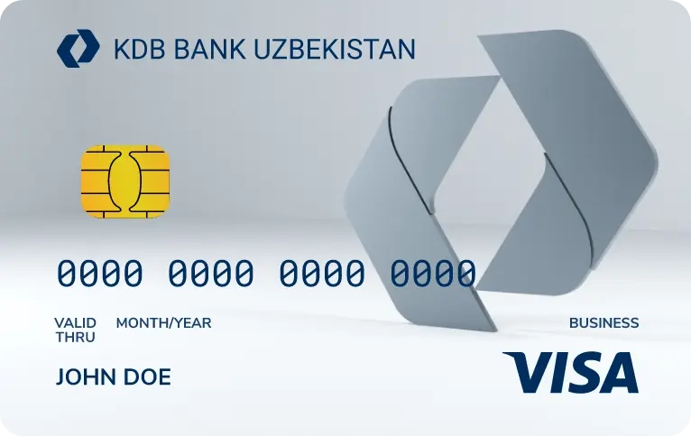 Visa Biznes